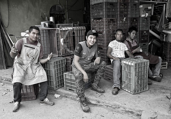 Stock Workers - Fruiteria Gonzalez