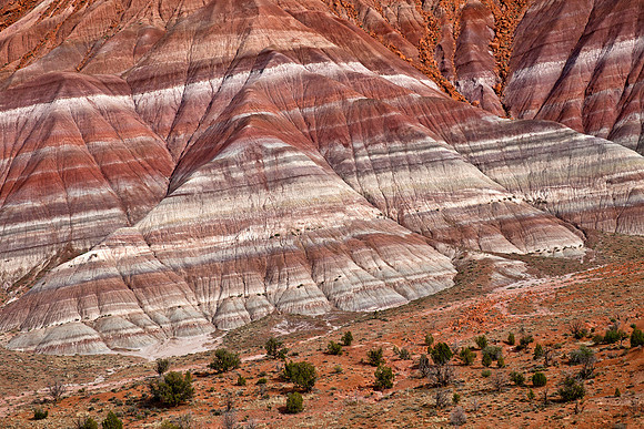 Chinle Formation - Old Paria Townsite
