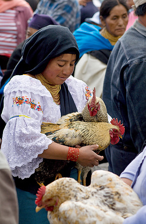 Chicken Seller - Otavalo