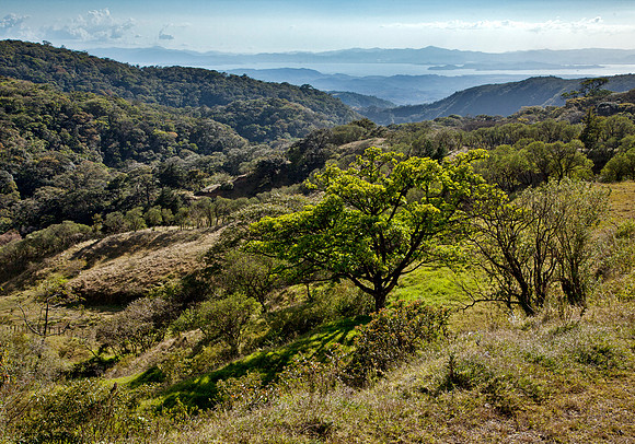 Buena Vista - Monte Verde to Pacific Ocean