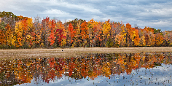 Autumn Spectacle - Phantom Lake, Minnesota