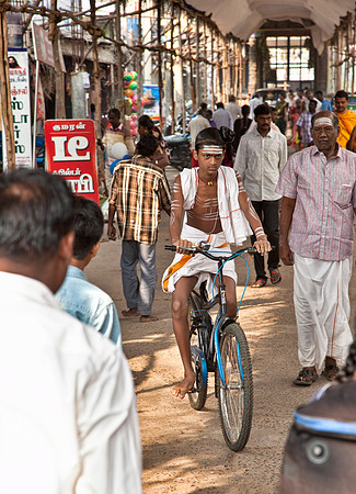 Young Brahmin on Bicycle