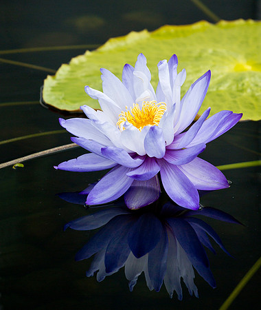 Subtle Reflection