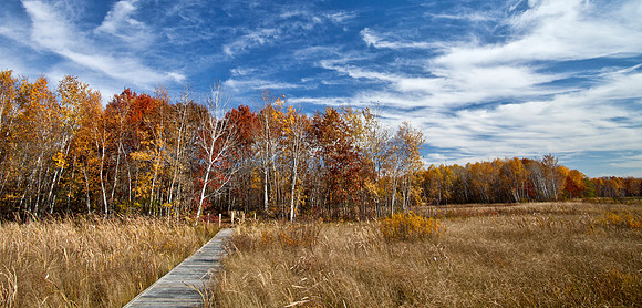 Boardwalk Bonanza  - Isanti County,  Minnesota
