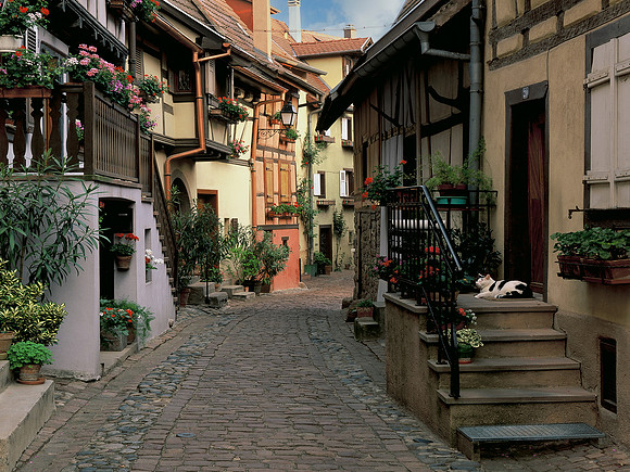 Local Color - Alsace