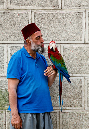 Take a Pic with my Parrot Guy