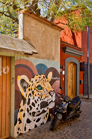 Jaguar Mural - Barrio Jalatlaco, Oaxaca
