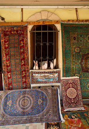 Hand Made Carpet Display - Izmir