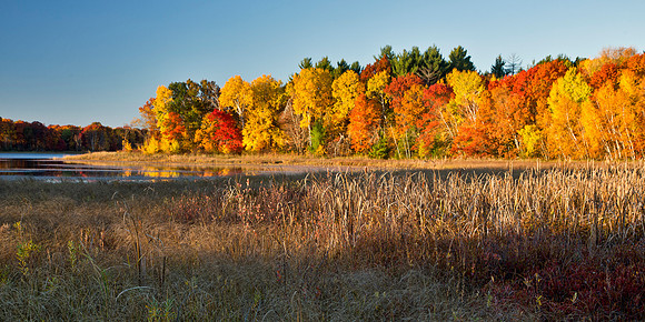 Peak Color - Bearclaw Lake, Minnesota