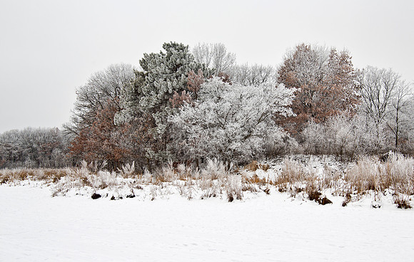 Morning Frost - Grass Lake, Minnesota