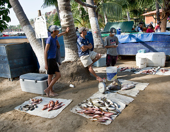 Direct from the Fisherman