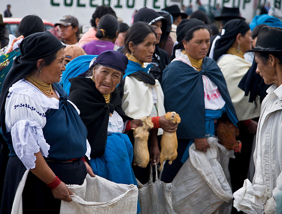 Guinea Pig Vendors - Ecuador