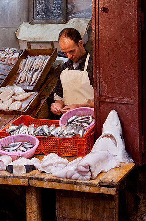 Fish Monger - Oarzazate