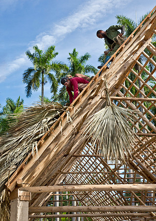 Palm Frond Roofers - Central Cuba