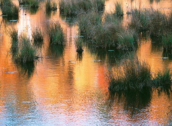 Autumn Reflections - St. Louis River, Minnesota