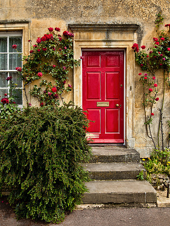 Red Door & Roses