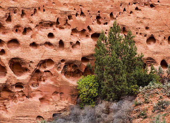 Wall of Tears - Long Canyon