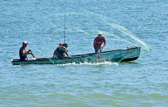Casting the Net
