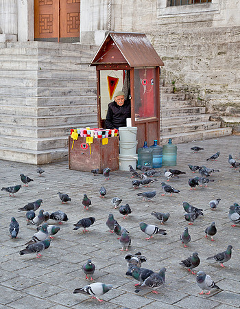 Pigeon Food Vendor & Admirers