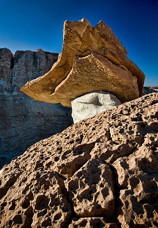 Walnut Rock & Mushroom - The Paria