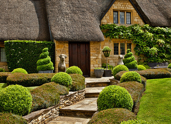 Two Dog Thatch - Cotswolds