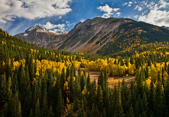 Silverton's Gold