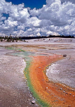 A Different Rainbow - Yellowstone N.P.