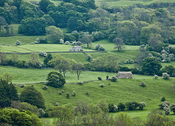 Yorkshire Dales Pastoral