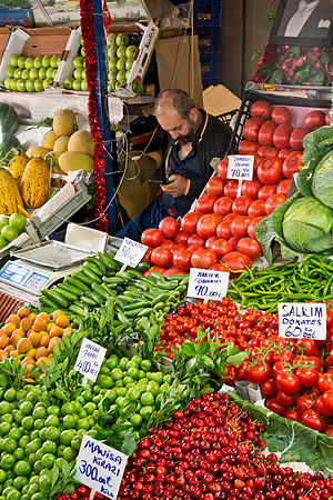 Conducting Market Research - Antalya