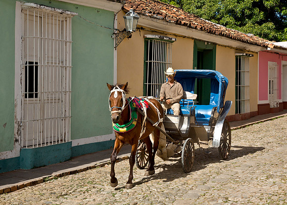 Buggy for Hire - Santa Clara