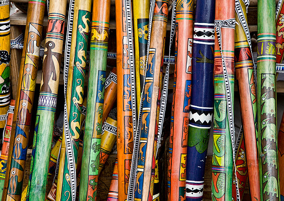 Walking Sticks