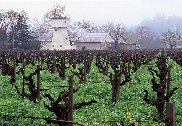 Water Tower & Vines - Napa Valley