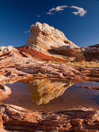 Dune Reflection & Halo