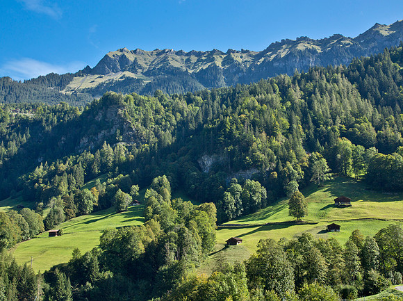 Farmer Cabins - Swiss Alps